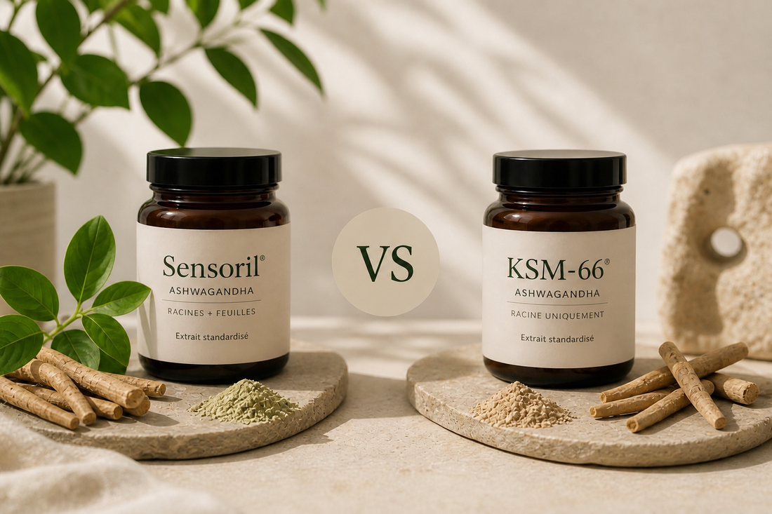 Ashwagandha Sensoril vs KSM-66 : lequel choisir ?